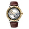Automatic Mechanical Mens Watch, Mechanical Wristwatches Watches for Man, Watches Golden Bridge Skeleton