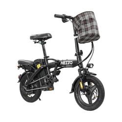 adult folding electric bike, 20 mph speed, removable battery electric bike