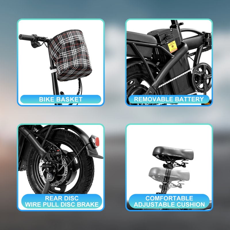 Adult Folding Electric Bike 20 MPH Speed 48V Removable Battery Electric Bike 3