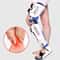 Orthopedic Adjustable Knee Brace, Ankle Foot Medical Support for Meniscus Injury Pain Relief and Rehabilitation