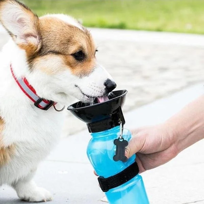 Portable Pet Dog Water Bottle, Travel Water Cup for Large Dogs, Feeder Bowl for Dogs and Cats