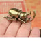 Creative Solid Brass Beetle Ornaments Unicorn Fairy Simulation Copper Insect Tea Pets House Table G 3