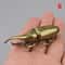 Creative Solid Brass Beetle Ornaments Unicorn Fairy Simulation Copper Insect Tea Pets House Table G 6