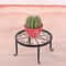 Standing Flower Pot Shelf, Retro Wrought Iron Plant Display Stand for Home & Garden Decoration