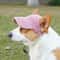 Adjustable Dog Baseball Cap for Dogs, Breathable Sun Hat with Ear Holes, Outdoor Sports Hat for Pet Hiking, Parent-Child