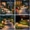 Solar Pathway Lights Super Bright Outdoor Solar Lights For Patio And Sidewalk 5