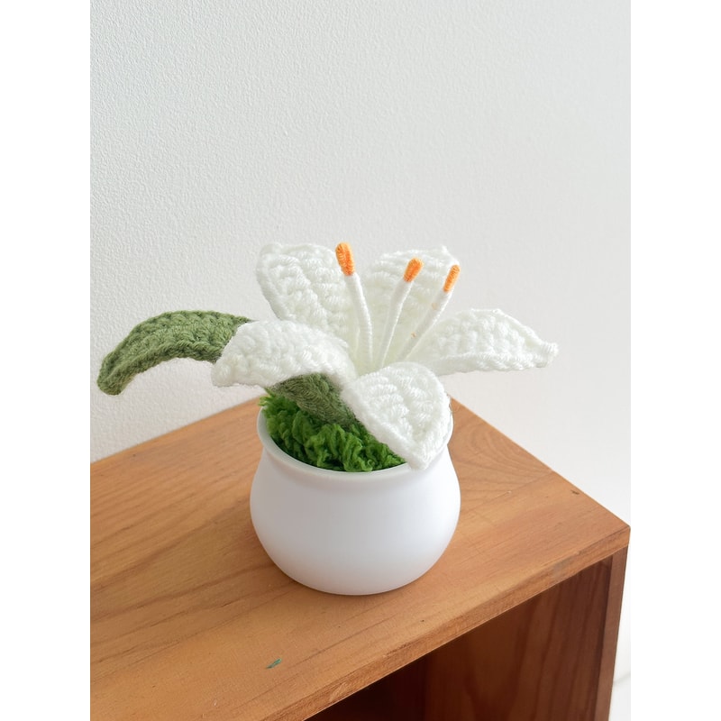 Delicate Crochet Woven Flowers Pot HandKnitted Lily Potted Gift For Mother Day 7