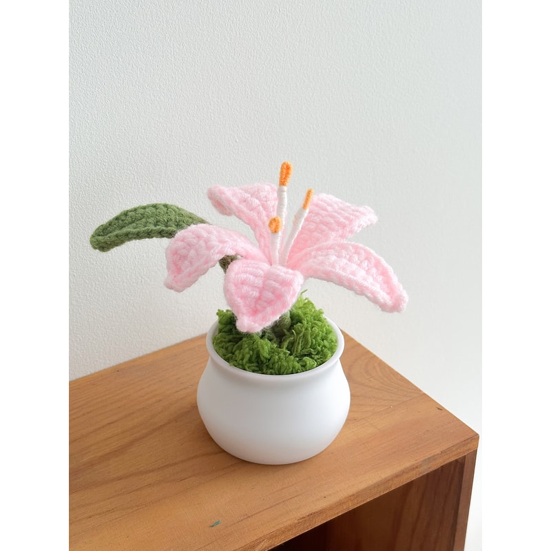 Delicate Crochet Woven Flowers Pot HandKnitted Lily Potted Gift For Mother Day 8