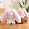 Delicate Soft Cute Deformed Rabbit Plush Toy, Strawberry Carrot Style, Ideal Birthday Gift