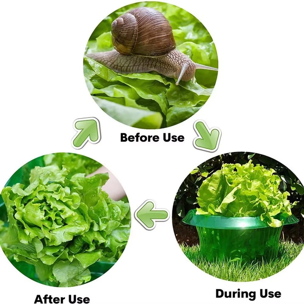 Vegetable Garden Plant Protective Cover, Agricultural Mini Greenhouse, Snail Collar Seedling Caps
