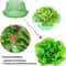 Vegetable Garden Plant Protective Cover, Agricultural Mini Greenhouse, Snail Collar Seedling Caps