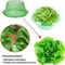 Vegetable Garden Plant Protective Cover, Agricultural Mini Greenhouse, Snail Collar Seedling Caps