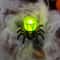 Beautiful Halloween Pumpkin Lanterns LED Candlelight Spider Props Festive Halloween Gifts 2
