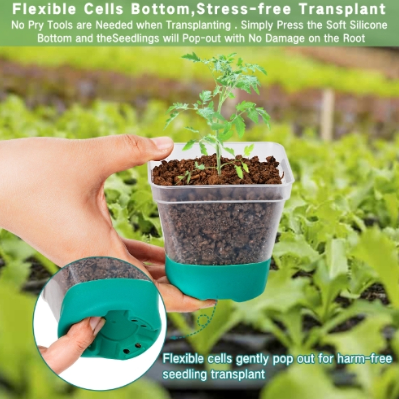 Reusable Transparent Flower Pots, 6 Plastic Square Pots for Planting and Seedling with Silicone Bottom and Label