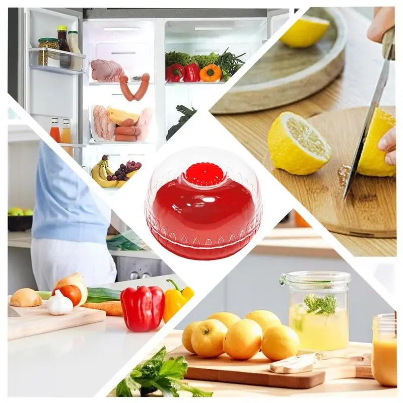 Mini Food Preservation Box Refrigerator Storage For Fruits Vegetable Storage Tray Fresh Food Organi 3