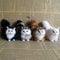 Soft Stuffed Kitten Model Cute Simulation Cat Plush Toy Realistic Fake Cat Animal For Kids Girls Bi 4