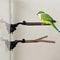 Wood Perch for Parrot Perch Birdcage, Accessories, Suction Cup Stand Toy