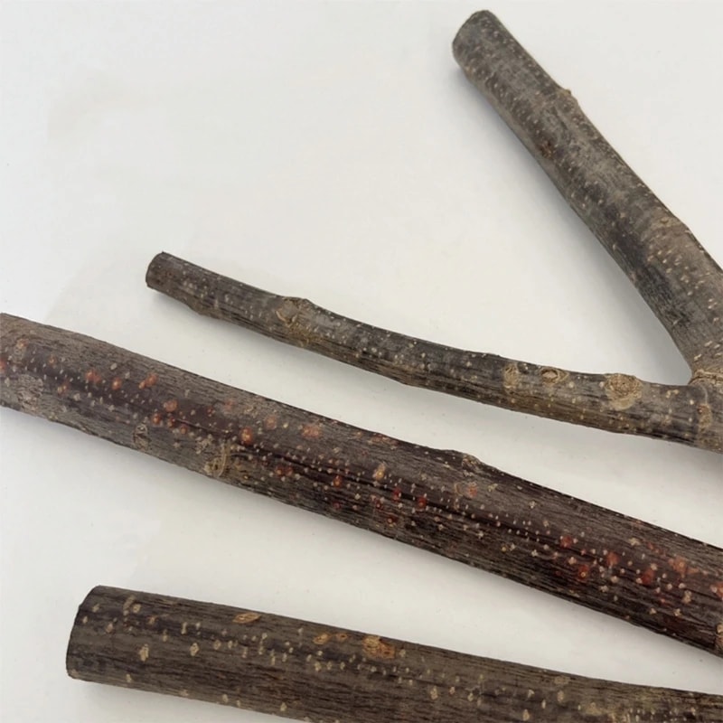 Wood Perch for Parrot Perch Birdcage, Accessories, Suction Cup Stand Toy