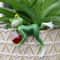 Creative Handmade Resin Frog Planter For Outdoor Balcony Garden Decoration 3