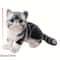 American Shorthair Plush Toy Simulation, Cute Stuffed Lifelike Cat Doll, Pet Toys and Home Decor Gift