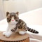 American Shorthair Plush Toy Simulation, Cute Stuffed Lifelike Cat Doll, Pet Toys and Home Decor Gift