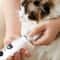 Pet Nail Grinder, Electric Nail Trimmer for Cats and Dogs, 3 Speed Rechargeable Nail Clippers