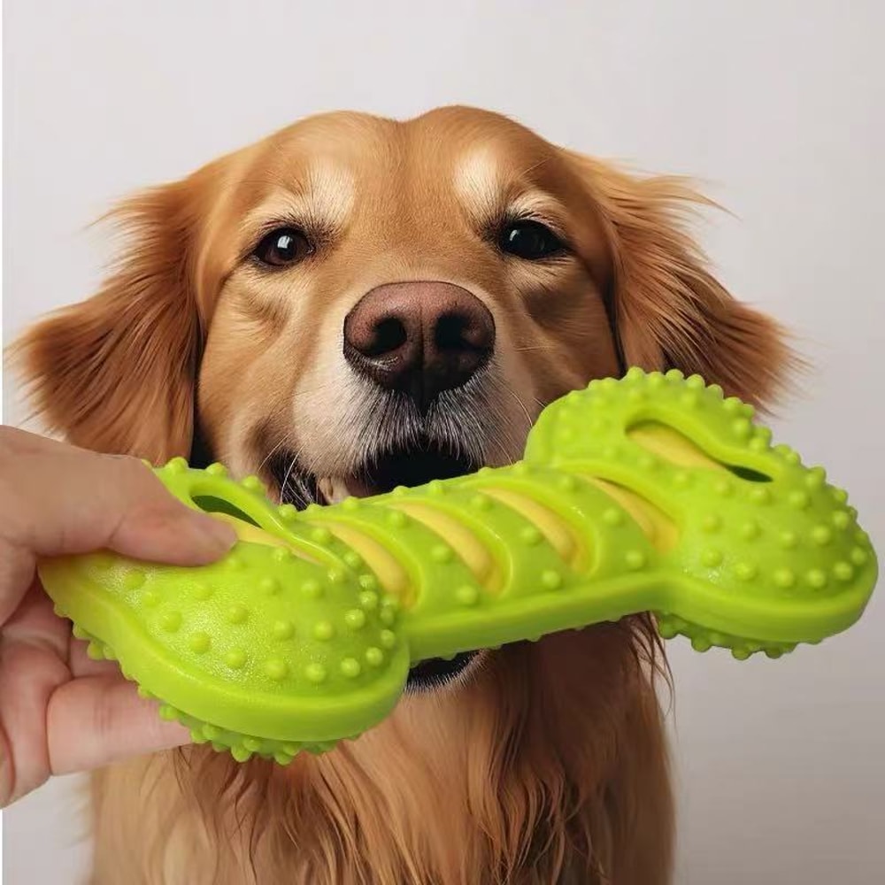Interactive Dog Toys Squeaky, Pet Dog Chew Toys Rubber Bone Toy for Puppies