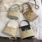 Korean Version Beach Vacation Woven Women's Bag, Fashion Handheld Crossbody Bucket Bag, Versatile Trendy Tote