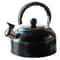 Electric Stainless Steel Tea Water Kettle, Whistling Tea Making, Flat-Bottomed Sounding Kettle