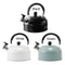 Electric Stainless Steel Tea Water Kettle, Whistling Tea Making, Flat-Bottomed Sounding Kettle