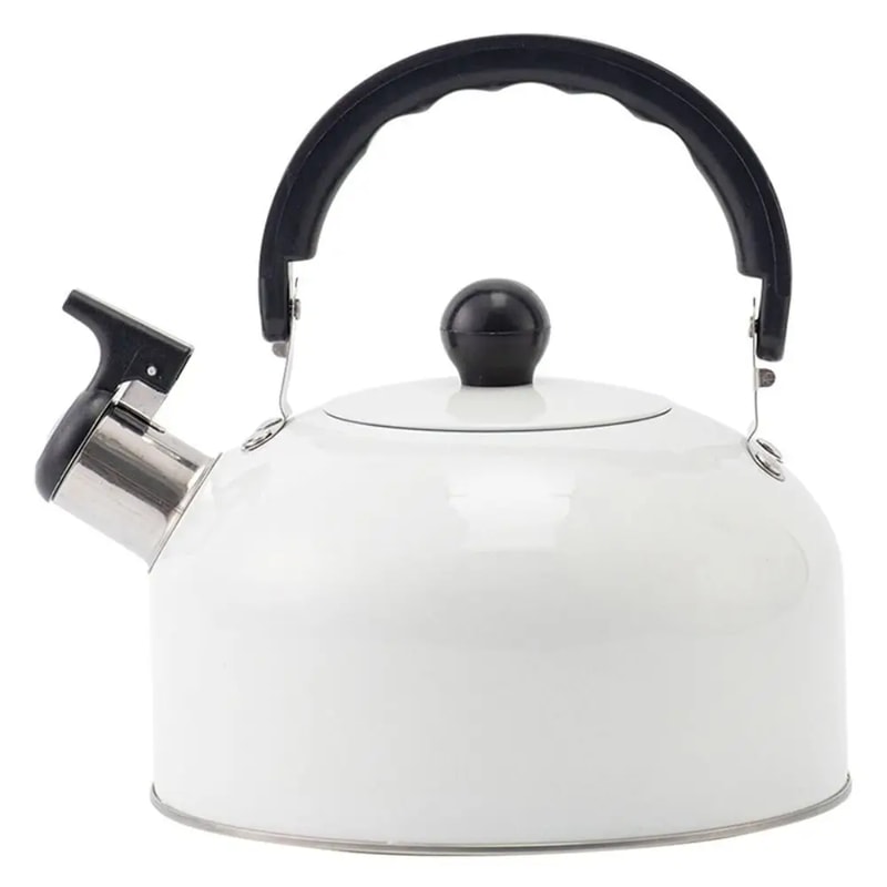 Electric Stainless Steel Tea Water Kettle, Whistling Tea Making, Flat-Bottomed Sounding Kettle