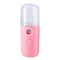 USB Humidifier Mini Facial Steamer Moisturizing Face Beauty Tool For Women 5