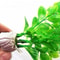 Artificial Aquatic Plants Plastic Green Grass For Fish Tank Aquarium Decor 4