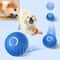 Interactive Dog Toy Ball, Smart Moving Bouncing Ball, USB Chew Toy for Puppies