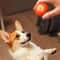 Interactive Dog Toy Ball, Smart Moving Bouncing Ball, USB Chew Toy for Puppies