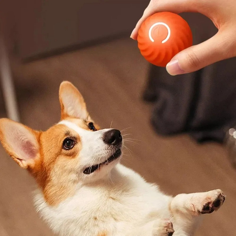 Interactive Dog Toy Ball, Smart Moving Bouncing Ball, USB Chew Toy for Puppies