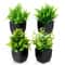 Decorative Artificial Green Plants for Wedding, Birthday, and Party Scenes