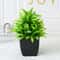 Decorative Artificial Green Plants for Wedding, Birthday, and Party Scenes