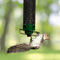 Portable Bird Feeder For Garden Yard Outdoor Wrought Iron Hanging Hummingbird Feeder 8