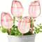 Automatic Watering System, Pink Tulip Plant Watering Balls, Perfect for Indoor Plants