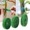 Nylon Garden Twine Plant Ties Bamboo Cane Wrap Support With Garden Hook Loop 1