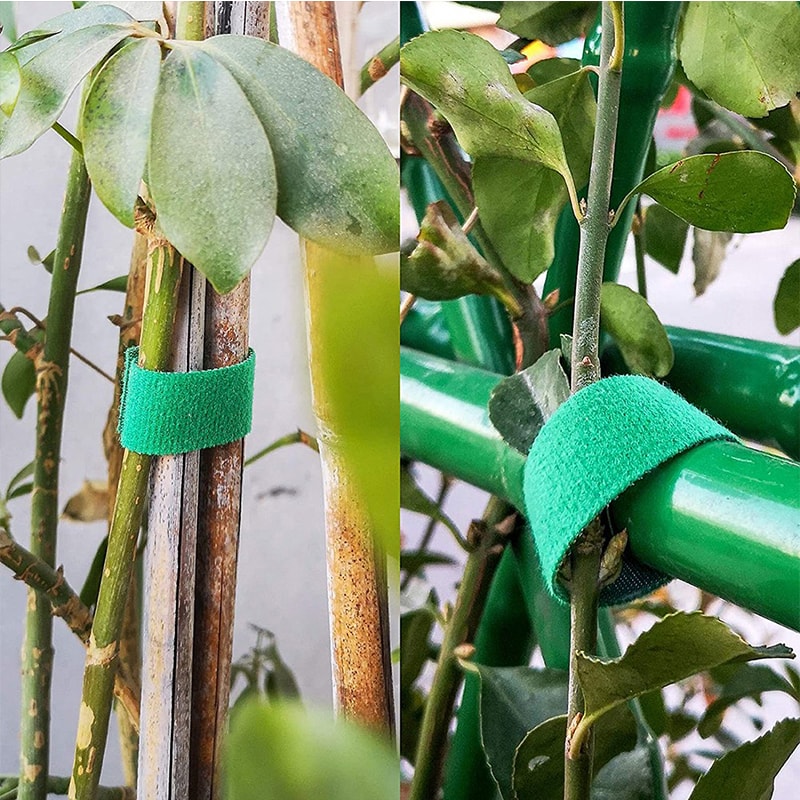 Nylon Garden Twine Plant Ties Bamboo Cane Wrap Support With Garden Hook Loop 4