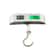 Digital LCD Portable Scale for Suitcase Travel Weight Luggage Bag Balance Tools