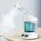 Portable Ionic Facial Steamer For Face Mist Spray Professional Facial Steamer 0