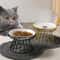 Ceramic Raised Pet Bowl with Stand Elevated Dog and Cat Feeding Bowl Set