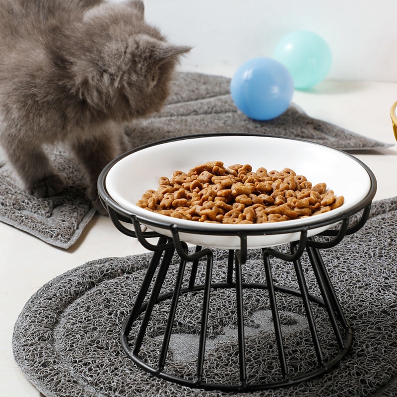 Ceramic Raised Pet Bowl with Stand Elevated Dog and Cat Feeding Bowl Set