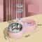 Automatic Pet Feeder And Pet Water Dispenser 2 In 1 Cat Dog Feeding Station 4