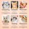 Premium Pet Grooming Brush For Cats Dogs NonSlip Hair Removal Comb 3