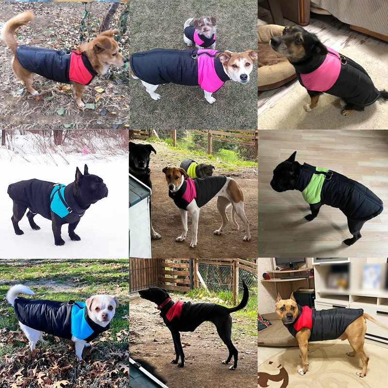 Warm Winter Dog Jacket Waterproof & Windproof Coat for Small to Large Dogs with D-Ring