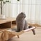 Portable Cat Suspension Hammock Comfortable Detachable Sunroom Seat Climbing Frame EasytoWash Pet 3